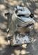Audi R8 Oil Sump Pan Casing 2007-2015 (420 115 37l) Oem