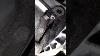 But You Can Remove The Sump Without Taking The Gearbox Off