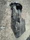 Mercedes Vito Oil Sump Pan 6460140402
