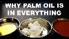 Why Palm Oil Is In Everything And Why That S Bad