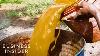 Why Palm Oil Is So Cheap